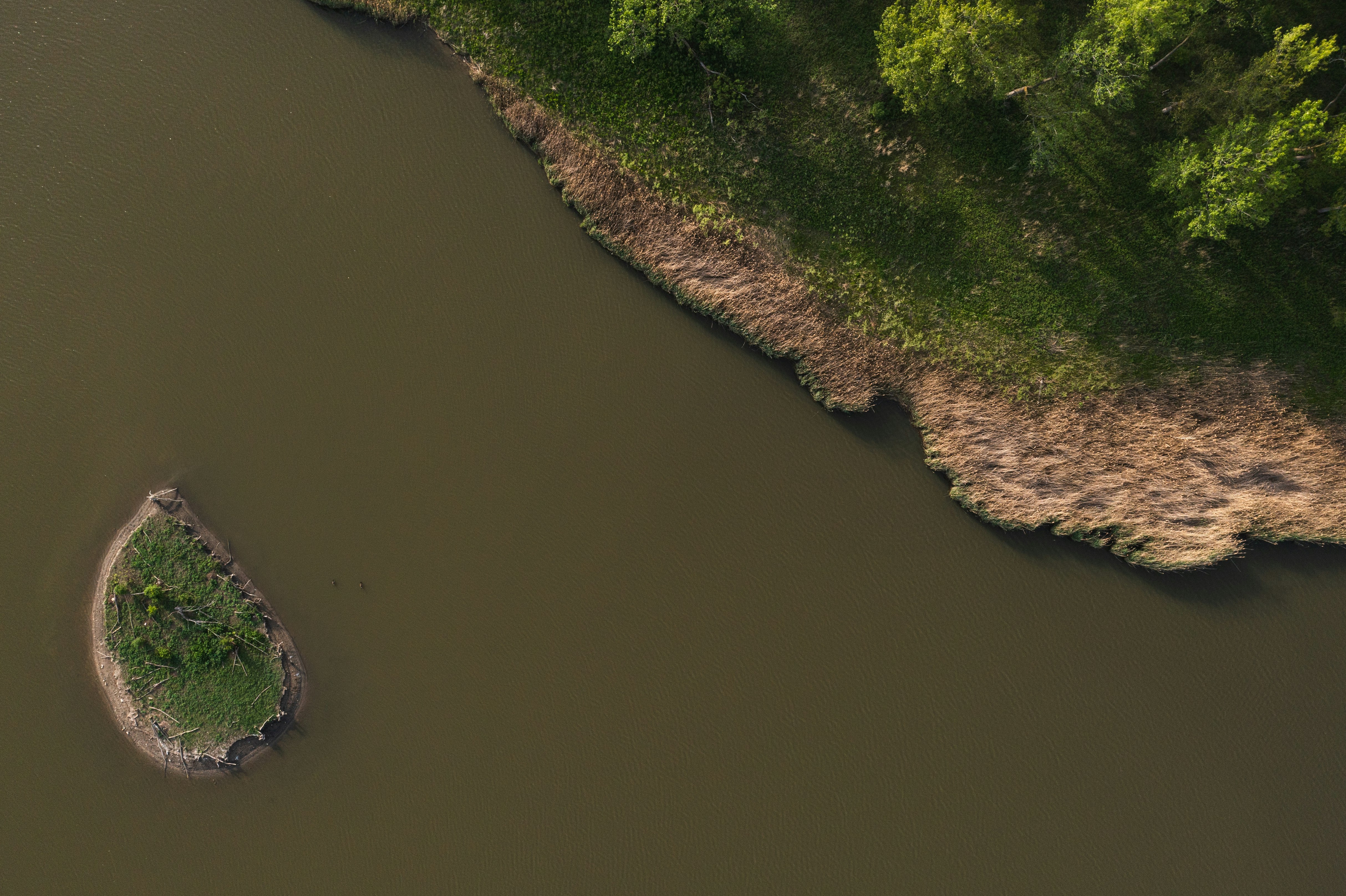 green grass field beside river